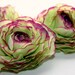 Silk Flowers - 3 Wavy Petal Ranunculus in Light Lime Green and Purple 3 inch size - Artificial Flowers