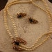 1950s Florenza Necklace and earrings / Vintage costume jewelry / 50s designer set