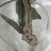 25 Rustic Wedding Woodburned Heart Favor Tags Charms Personalized Initials Bride Groom