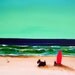 Surf's Up Scottish Terrier dog print by Todd Young