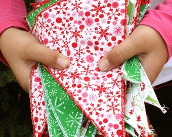 12 Snowflakes and Fun Holiday Flags