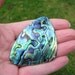 RESERVED for Stephanie - Vintage Large Incredibly Colorful Paua Shell Earrings from New Zealand
