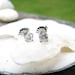 RESERVED for A. - Sweet and Fiery 14K White Gold Old Mine Cut Diamond Stud Earrings - Approx .48 carat - Free Shipping