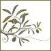 OliveTree