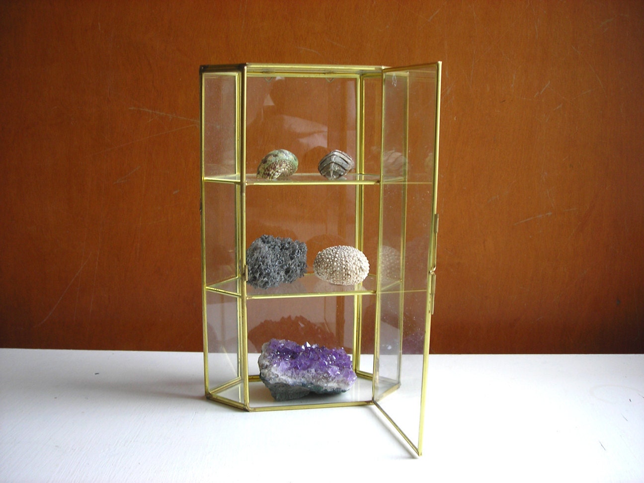 Vintage Glass Display Box or Terrarium Brass Case