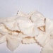 Delicious - Farfalle - Bow tie pasta - felt food