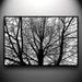 Branches Papercut, original hand-cut 30x20 paper art