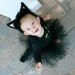 Custom Made Black Cat Tutu Skirt with Ears and Tail Costume 9 months or 3 months with shirt