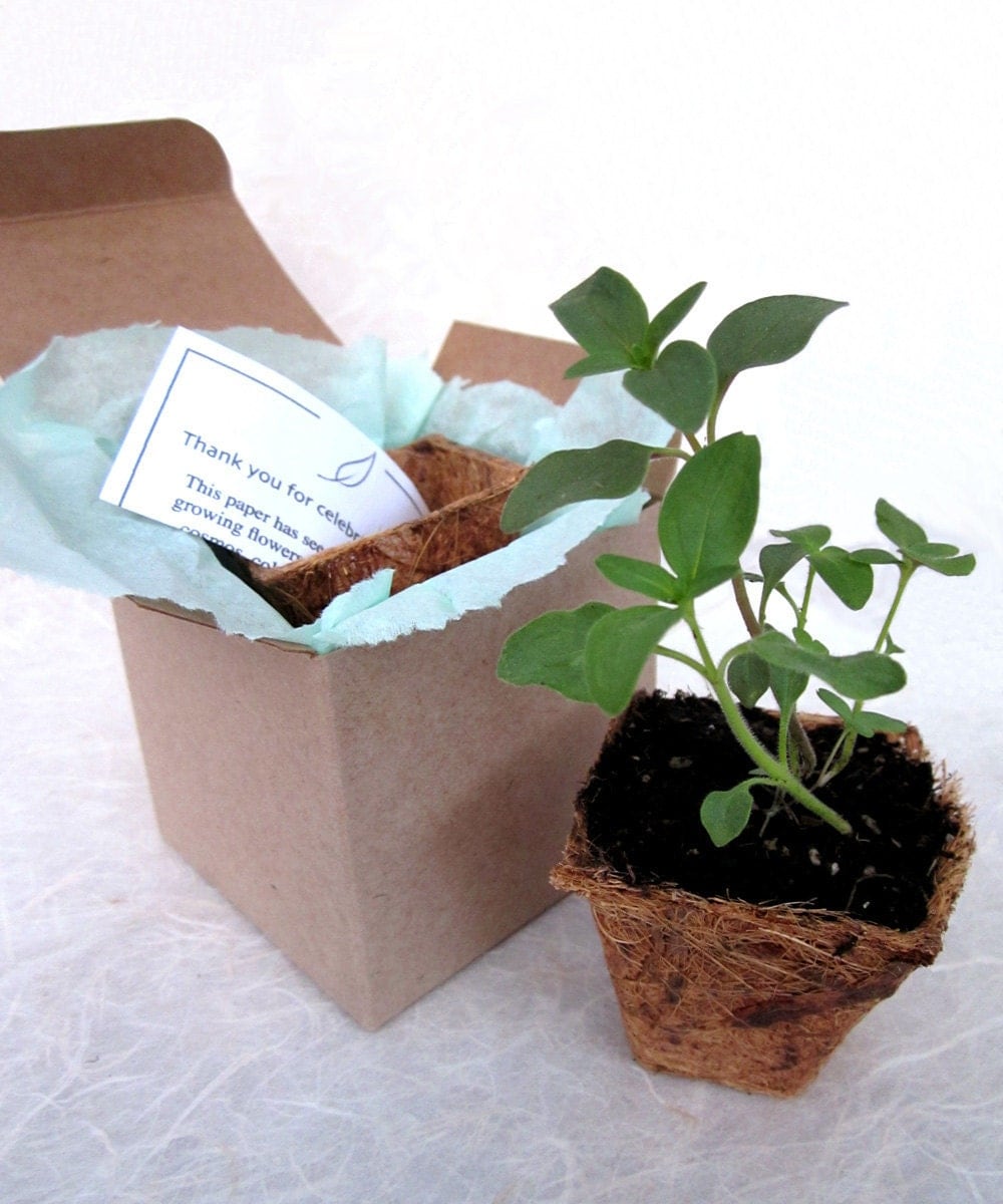 40 Plantable Seed Paper Wedding Favors Kit Custom Colors