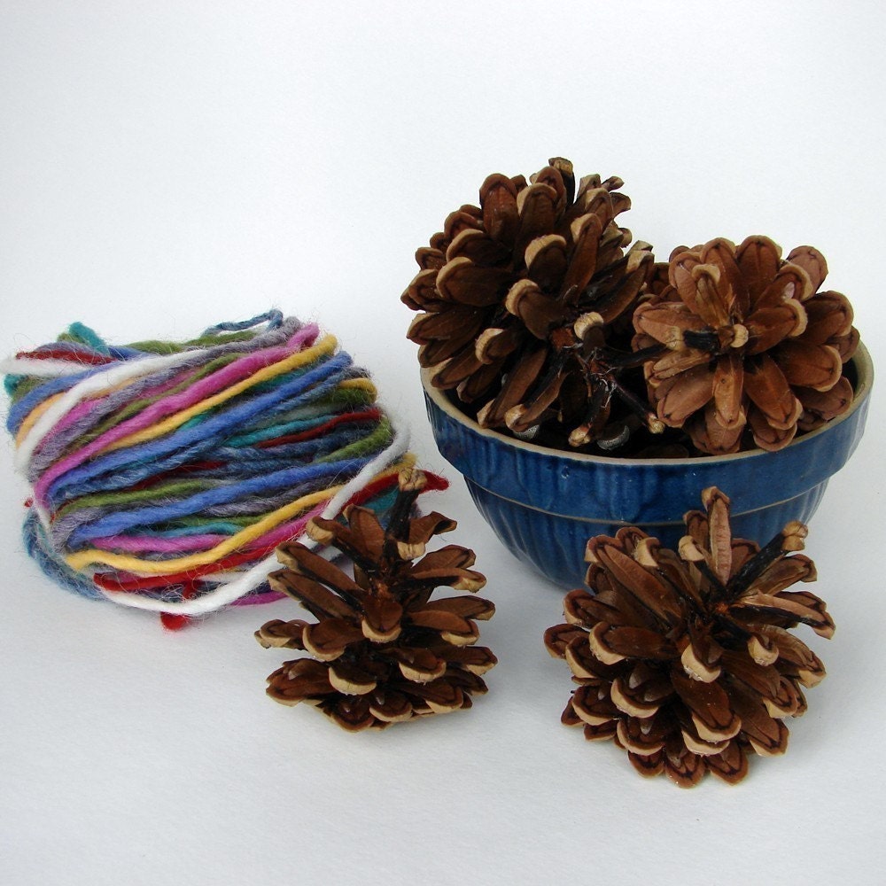 Pinecone Weaving Handwork kit for all ages