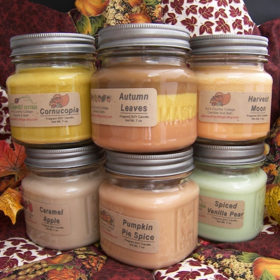 9 SOY CANDLES You CHOOSE Vanilla Cinnamon Apple