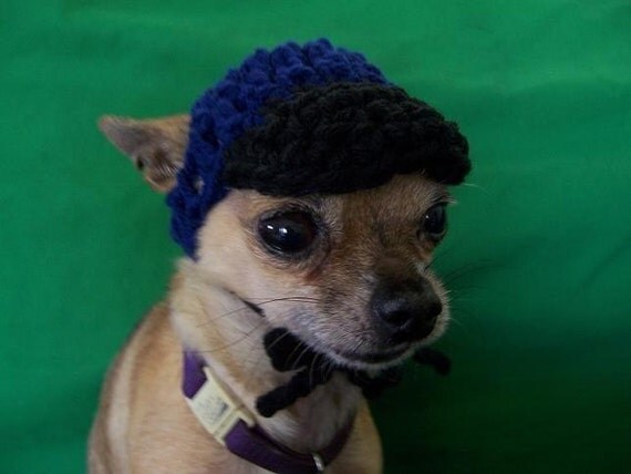 chihuahua beanie hat