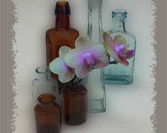 Antique Bottles Giclee Art Print, 8x10 unframed art, Home Decor, EBSQ