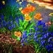 Spring floral Art, enhanced photo, Office Wall Art, 11x14 Giclee Print, EBSQ