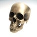 the full skull ring in bronze