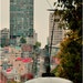 Fair Champagne - San Francisco Landscape Photography Print