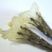 Long Pale Yellow Trumpets Earrings