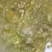 Lime Green Kid Mohair Locks