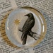 Crow Magnet - Jumbo Glass Magnet - Black Crow or Raven