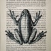 Frog Print - Vintage Book Page Print - 5 x 7 Tree Frog Art - Nature Print - Toad Print