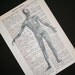 Anatomical Muscle Man Print on Spanish Dictionary - 5 x 7