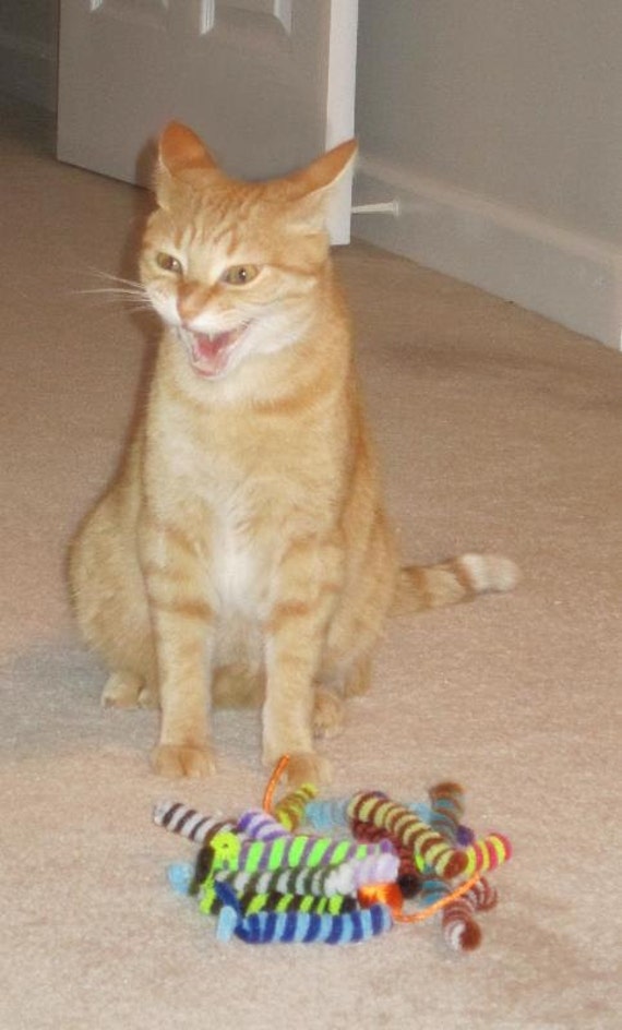 Willow's Worms Pipe cleaner cat toys a Kitten's