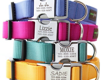 Metal Engraved Buckle Dog Collar - Personalized with 21 Webbing Colors to Choose From
