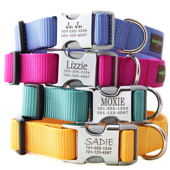 Metal Engraved Buckle Dog Collar Personalized with 21