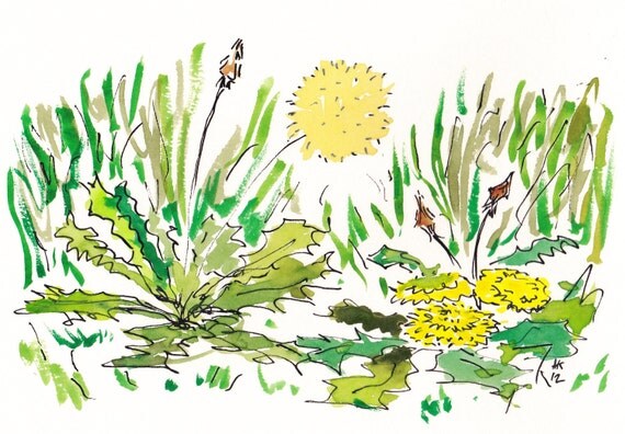 dandelion drawing by AKandKO