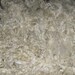 Cotswold Lamb locks, 2 oz Lovely White