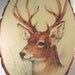 Deer painted onto a slice of tree wood with bark