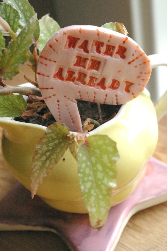 Items similar to Plant Quotes - Indoor Plant Stakes - Set of 3 - Unhappy Plants on Etsy