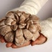 Hand felted Dahlia Flower Brooch - Coffee Late - ready to ship