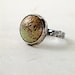 Ring hammered Sterling silver brass Rock Garden floral Spring fashion