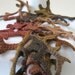 Enchanted Forest Lariat Women Crocheted Scarf Fiber Jewelry in Earth -- FREE SHIPPING