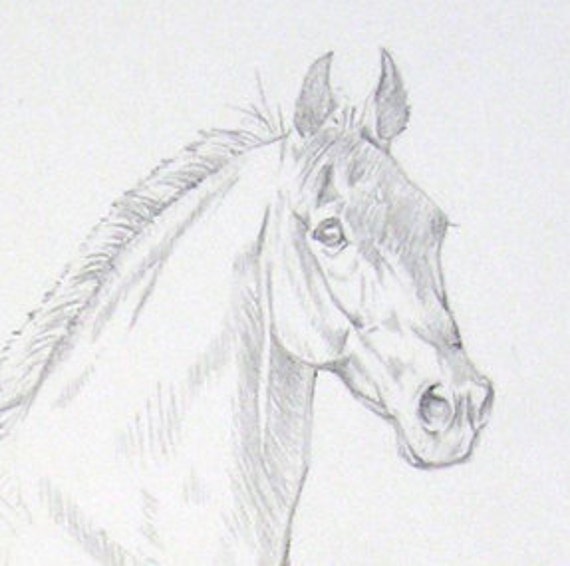 Trotting Horse horse art original pencil sketch
