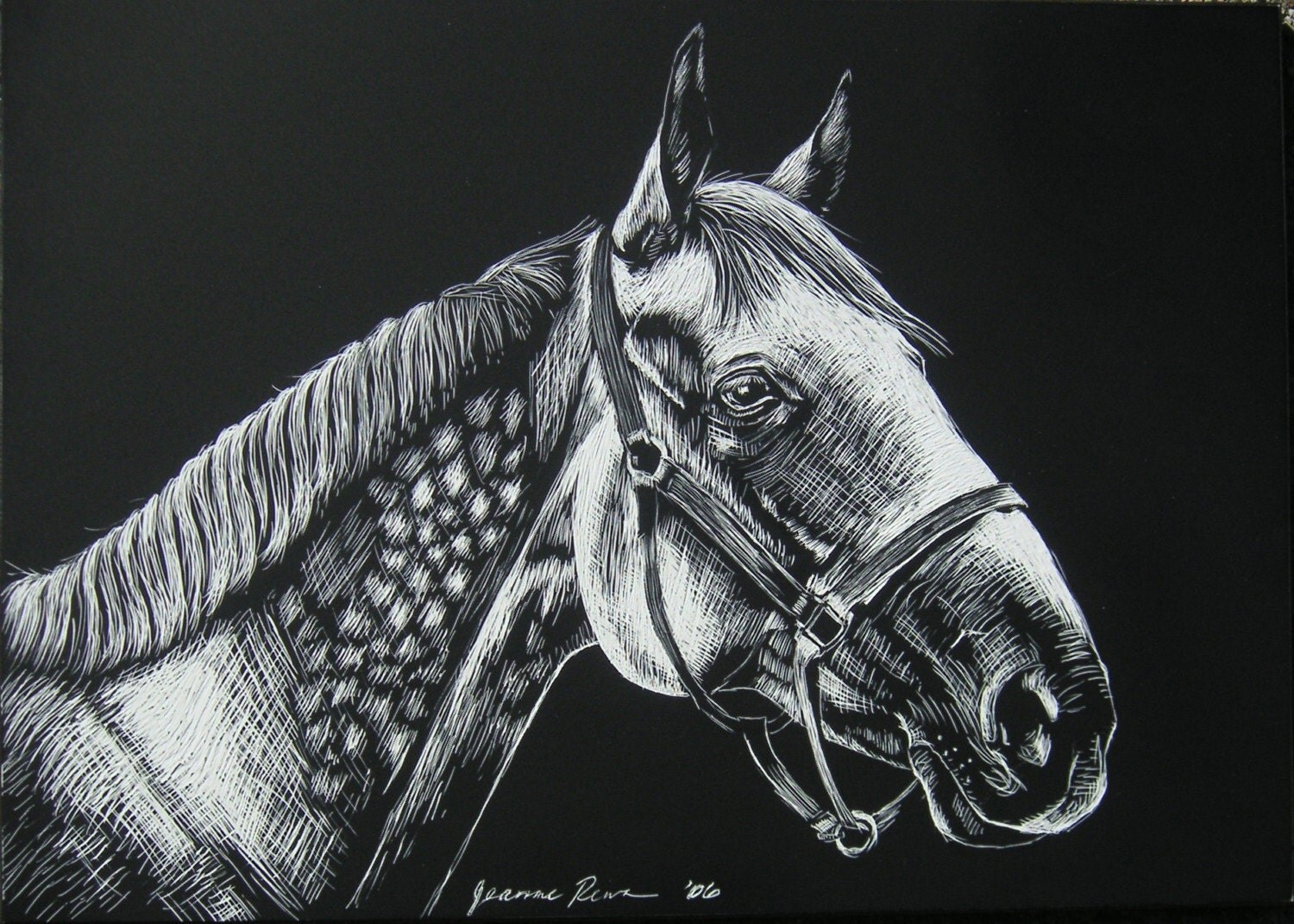 Gray Mare original scratchboard horse art