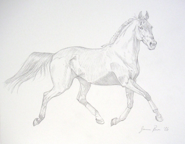 Trotting Horse horse art original pencil sketch