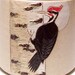 Pileated Woodpecker and Birch Pottery Mug Limited Series 167 (microwave safe) 12oz