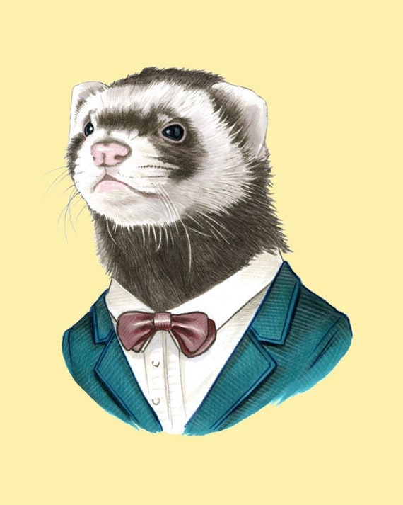 Ferret art print 5x7 by berkleyillustration on Etsy