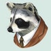 Raccoon print 5x7
