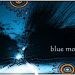 thatbluegirl