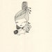 original illustration drawing ink on paper girl with bunny rabbit, a bunny someday