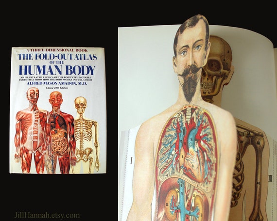 Book Vintage Pop-Up Anatomy Book The Fold-Out Atlas of the