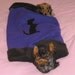 Dachshund Profile on Purple Boodle Tunnel Bed lined wiht Faux Fur