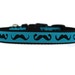 5/8 or 3/4 Inch Wide Dog Collar with Adjustable Buckle or Martingale in Moustaches in Blue