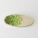 Green Ombre Brooch