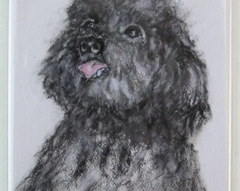 Black Toy Poodle Dog Art Magnet By Cori Solomon