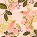 Peach Birds Original Painting