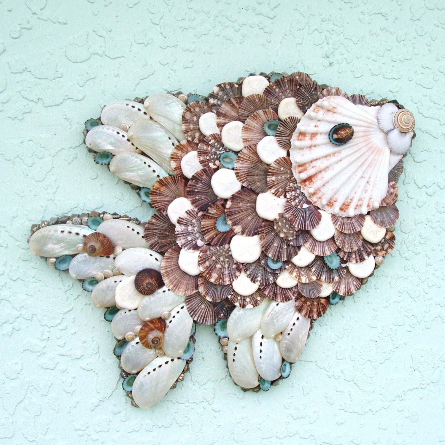 Angelfish wall decor seashells